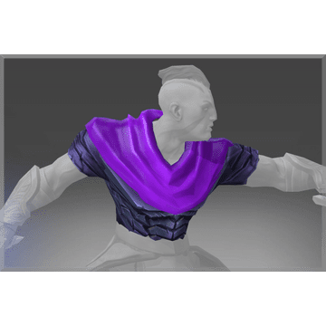 Tunic of the Survivor