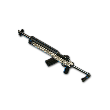 Desert Digital - Mini14
