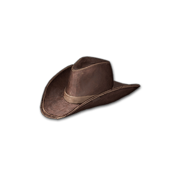Cowboy Hat (Brown)