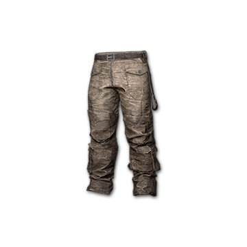 Biker Pants (Gray)