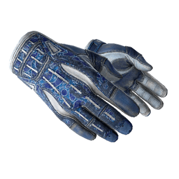 ★ Sport Gloves | Amphibious