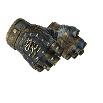 ★ Hydra Gloves | Case Hardened