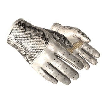★ Driver Gloves | King Snake