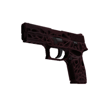 P250 | Contaminant