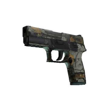 P250 | Modern Hunter