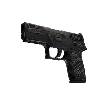 P250 | Facility Draft