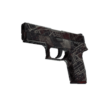 P250 | Facility Draft