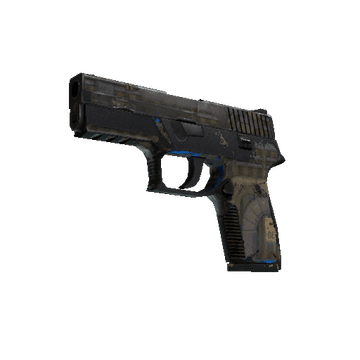 P250 - Exchanger