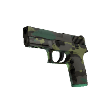 P250 - Boreal Forest