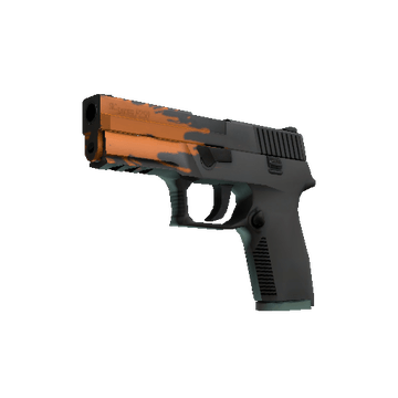 P250 | Splash