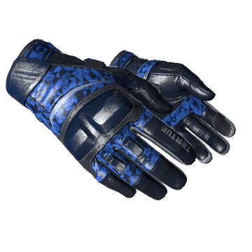 ★ Moto Gloves | Polygon