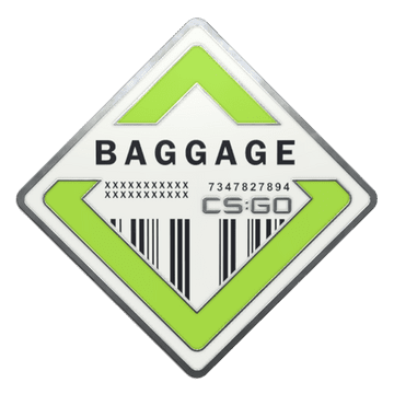 Baggage Pin