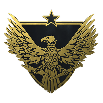 Brigadier General Pin