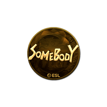 Sticker | somebody (Gold) | Katowice 2019
