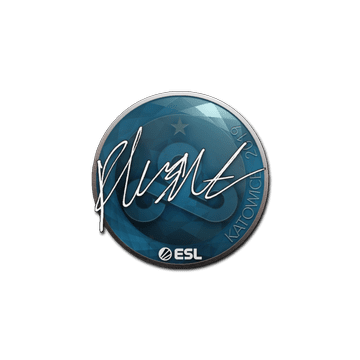 Sticker | flusha | Katowice 2019