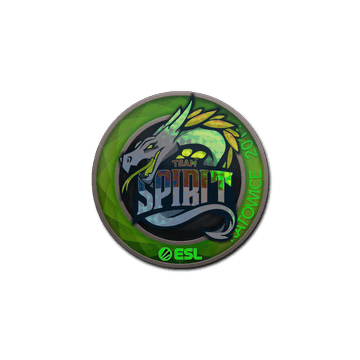 Sticker | Team Spirit (Holo) | Katowice 2019