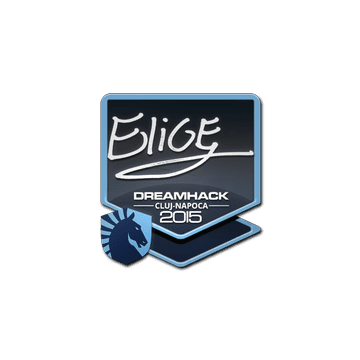 Sticker EliGE | Cluj-Napoca 2015