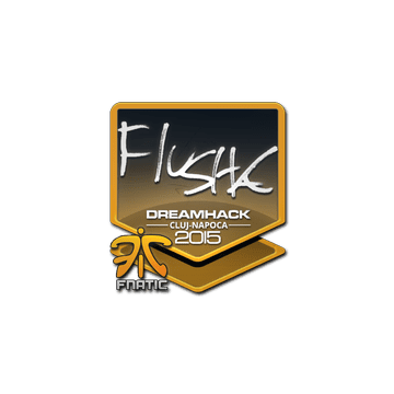 Sticker | flusha | Cluj-Napoca 2015