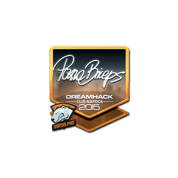 Sticker pashaBiceps (Foil) | Cluj-Napoca 2015