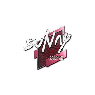 Sticker | suNny | Boston 2018
