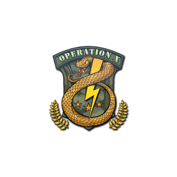 Sticker | Badge of Service