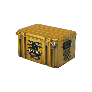 Operation Hydra Case