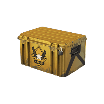 Winter Offensive Weapon Case