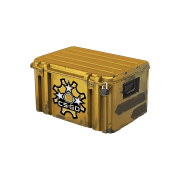 Revolver Case
