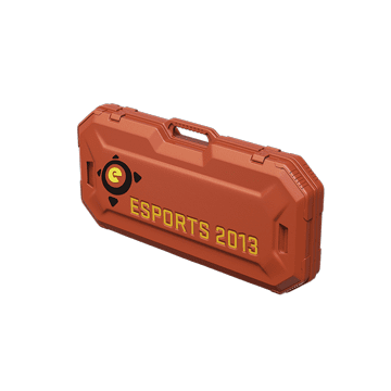 eSports 2013 Case