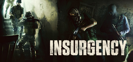 Insurgency -