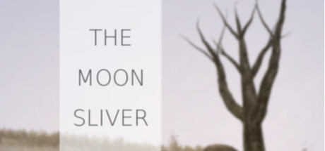 The Moon Sliver -