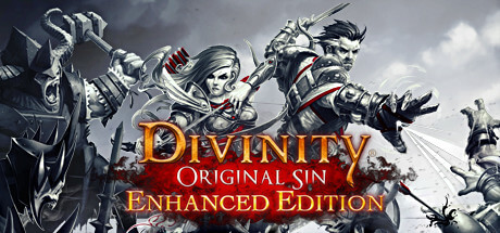 Divinity: Original Sin Enhanced Edition -