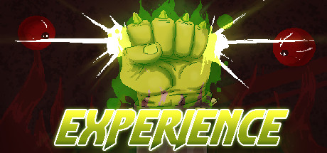 Experience -